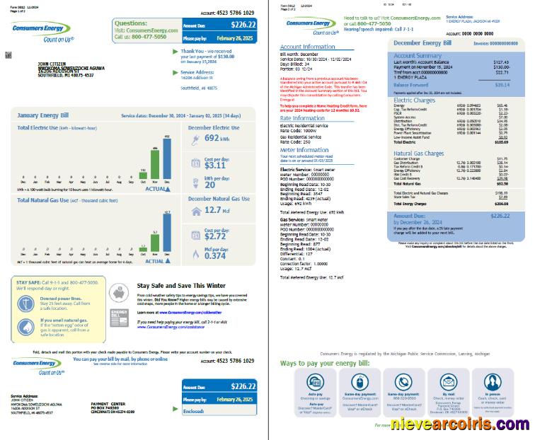 USA Consumers Energy utility bill, 2 pages